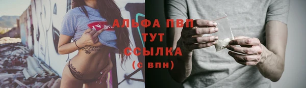 ПСИЛОЦИБИНОВЫЕ ГРИБЫ Баксан