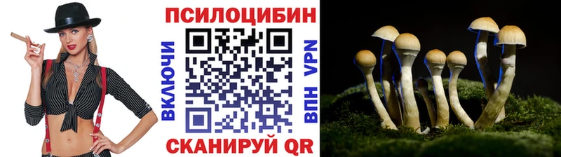 это состав  Петровск  Галлюциногенные грибы мухоморы 